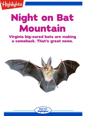 cover image of Night on Bat Mountain